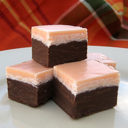 [halloween+fudge+1+450.jpg]
