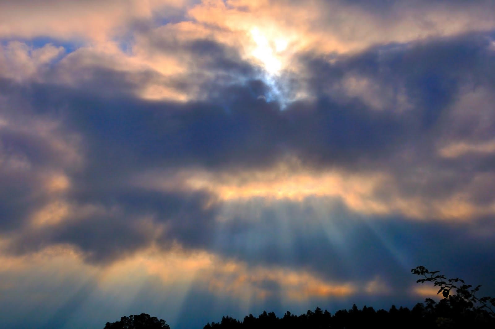 [DSC_0095.jpg]