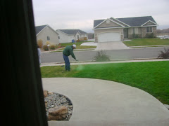 Jay spraying our grass green...