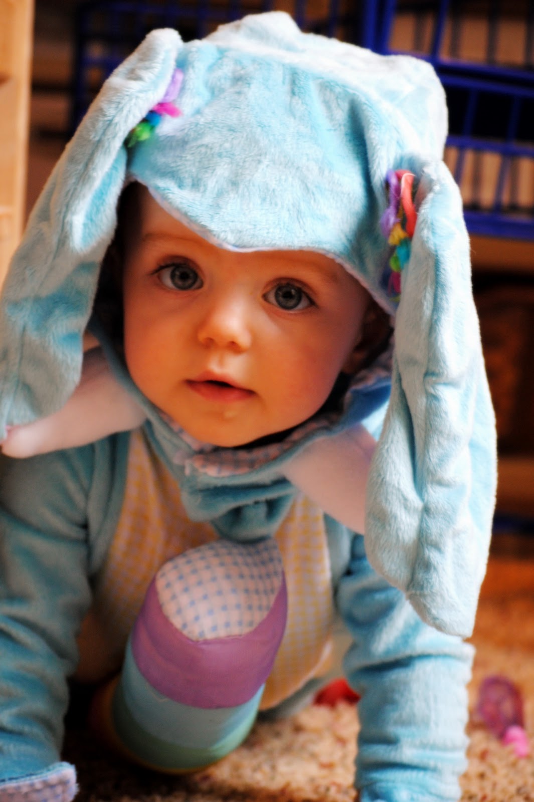 Bury Cute Kate 10 Months Old