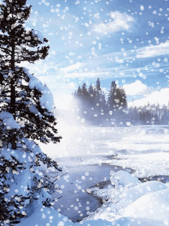 [nature+29.gif]