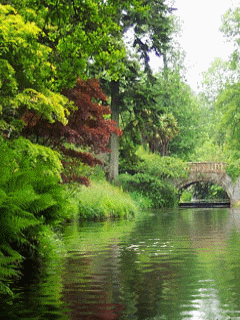 [nature+32.gif]