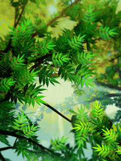 [nature+47.gif]