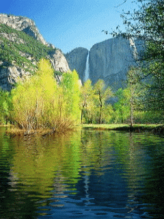 [nature+38.gif]