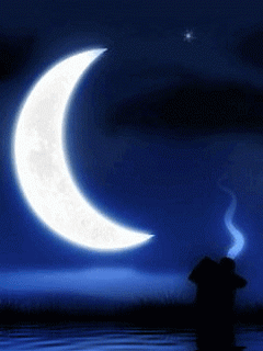 [nature+04.gif]