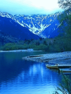 [nature+08.gif]