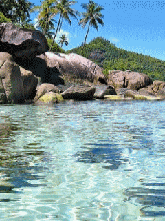 [nature+20.gif]