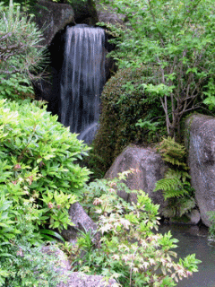 [nature+28.gif]