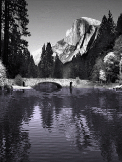 [nature+45.gif]