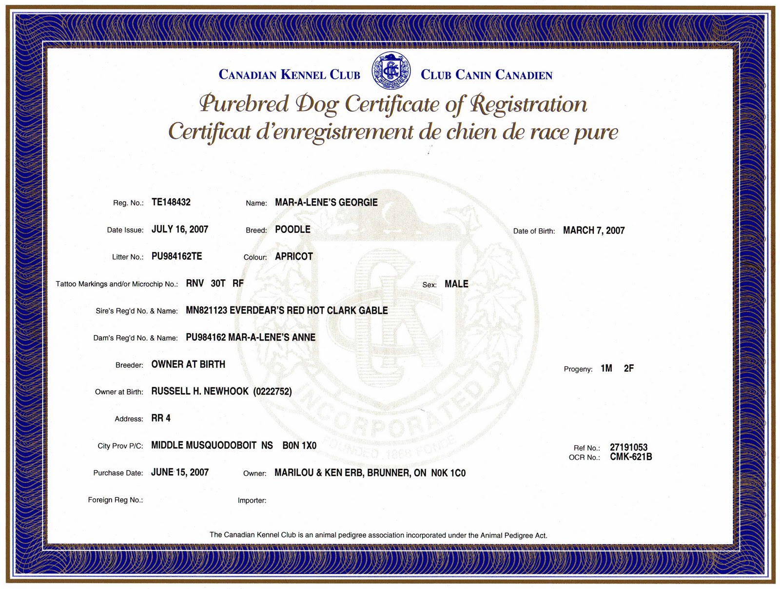 Good Dog Obedience Registered vs Purebred but not papered