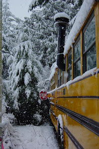 Our bus