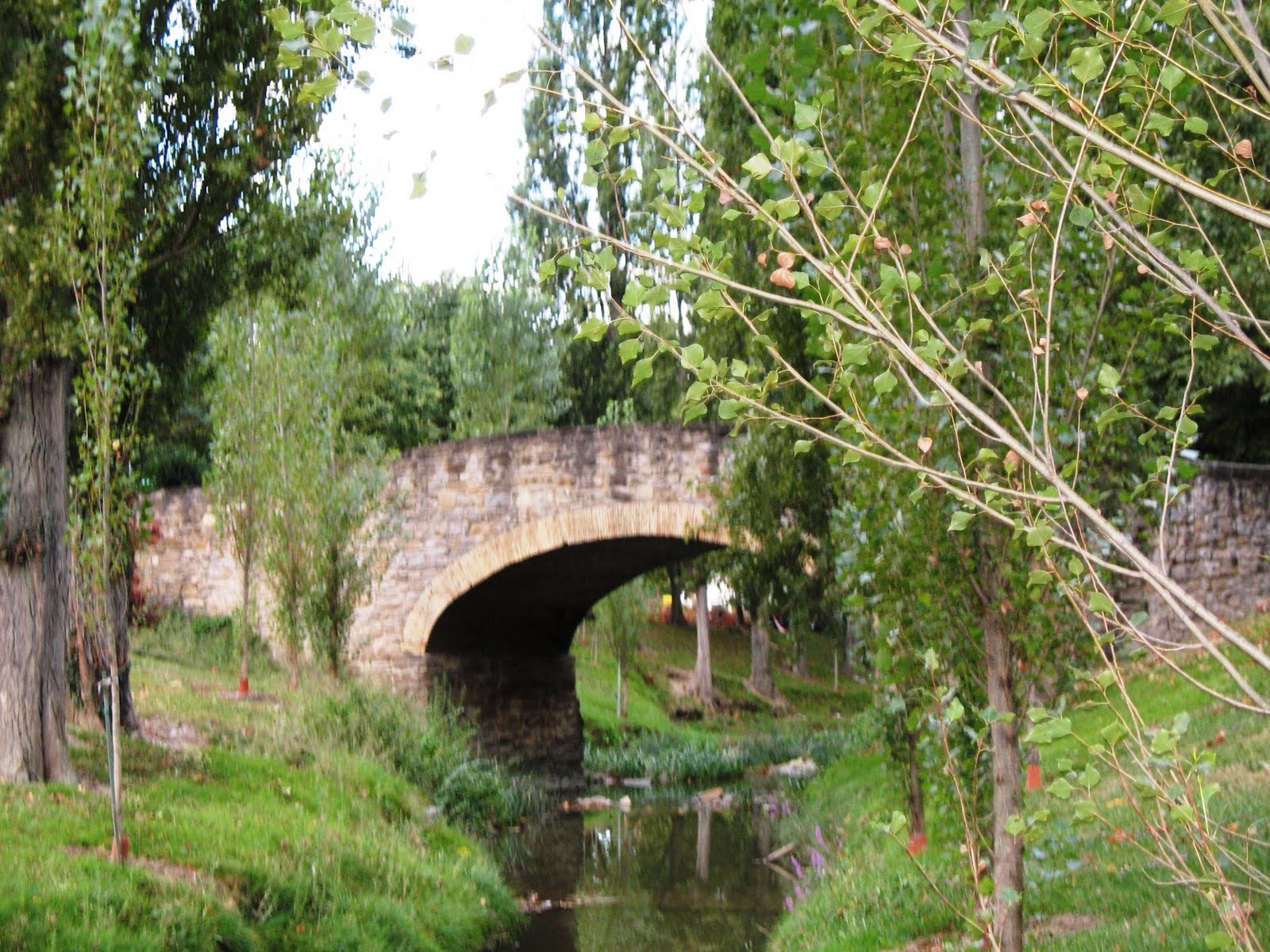 [Csantiago081+660.jpg]