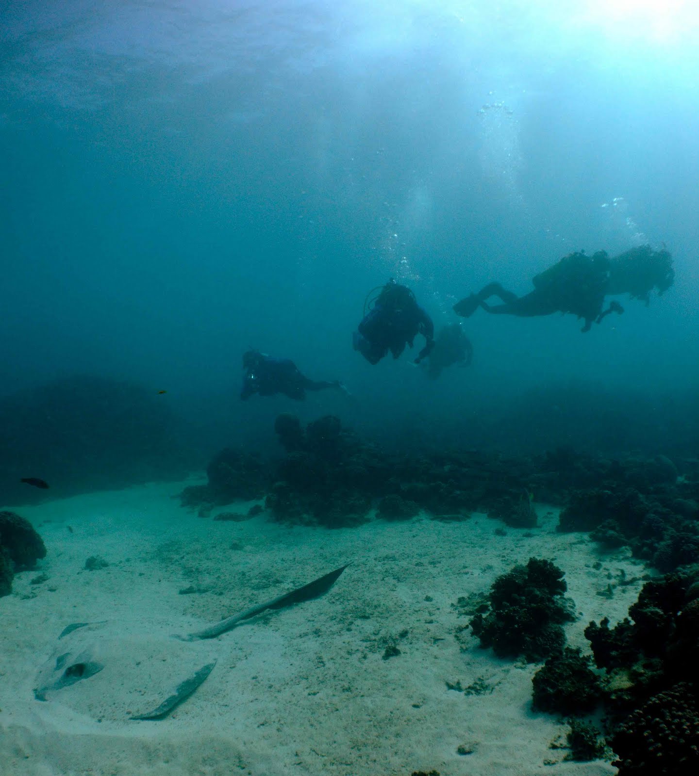 Sail Ningaloo Ningaloo Reef Dive Liveaboard