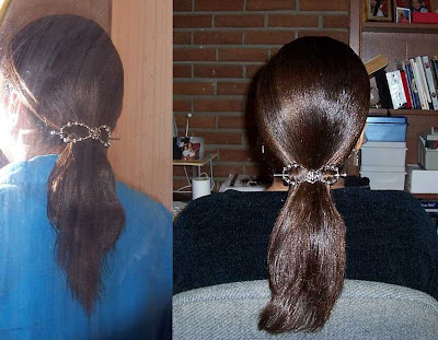 picture+of+tail.jpg