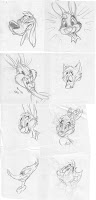 Cartoon dog Brer Rabbit Molly Disney Bugs Bunny Bob Clampett Woody Woodpecker Kiki ring-tailed lemur sketches