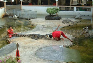 Zoo Crocodile Farm