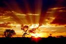 [desert+sunset.jpg]
