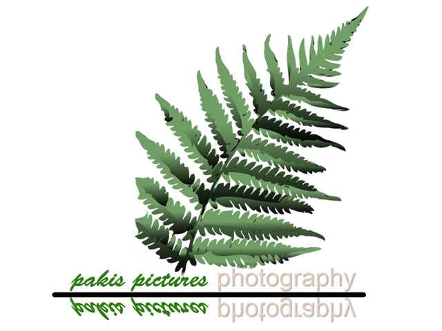 pakis pictures photography