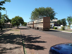 Road Train Normanton