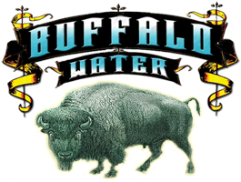 buffalo water test