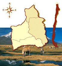 Arica y Parinacota: Turismo y Ecoturismo en la decima quinta region de