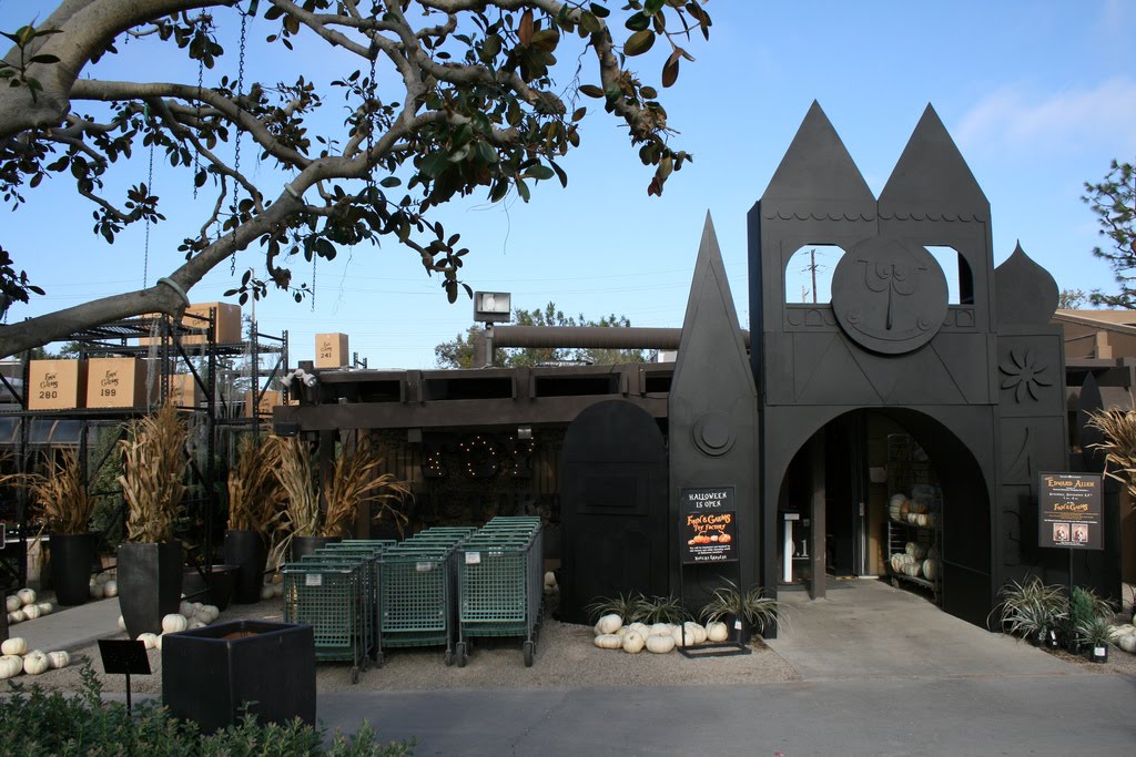 The Blog Halloween At Roger's Gardens