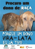 Campanha contra abandono de cães!!