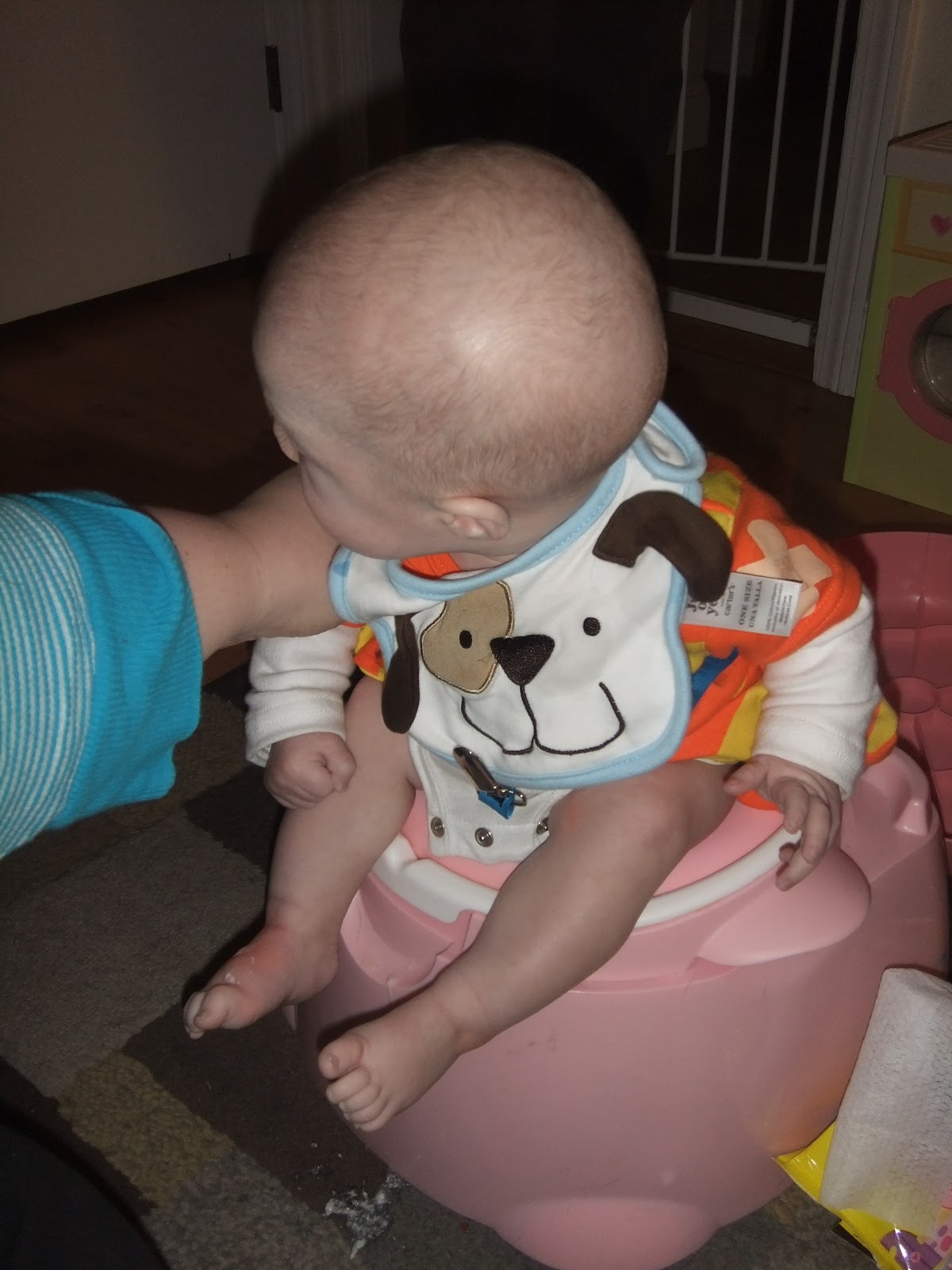 The Cliffords "Poop on Potty"