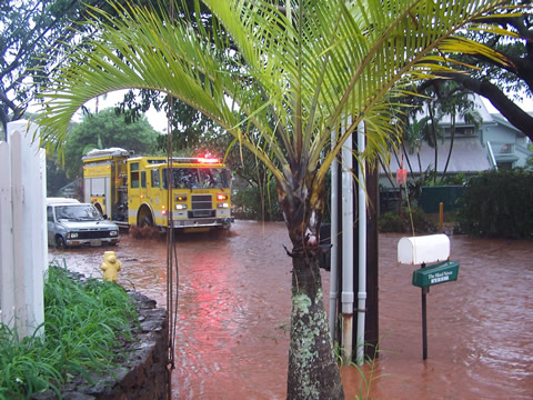 [maui01.jpg]