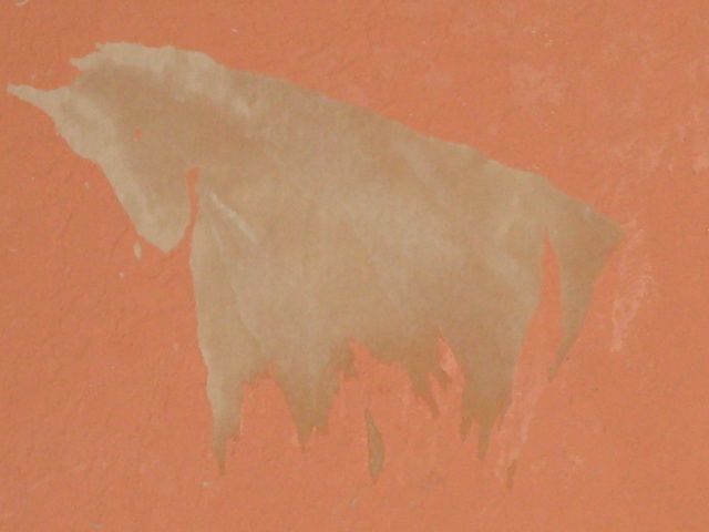[unicorn2.jpg]