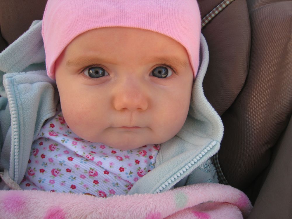 [IMG_1438.jpg]