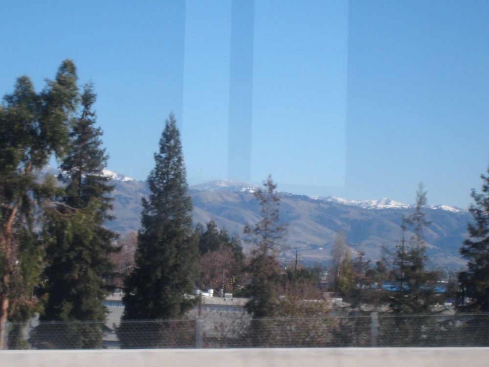 [IMG_1424.jpg]