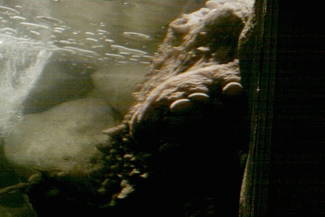 [1263222676012-701681.jpg]