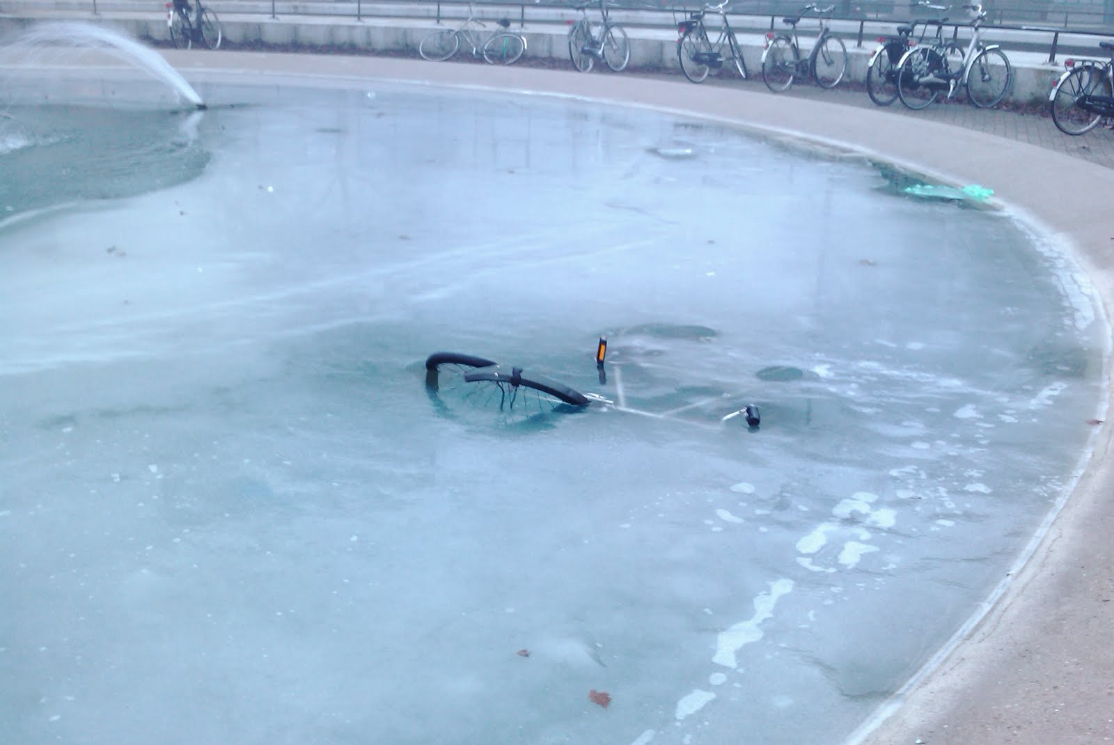 [IMAG0226-727992.jpg]