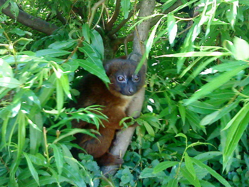 [image-upload-11-700994.jpg]