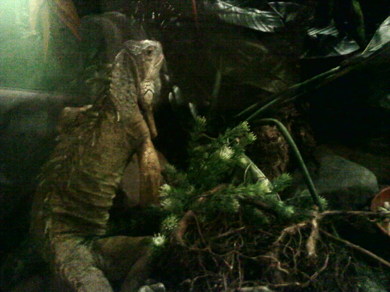 [image-upload-48-749006.jpg]