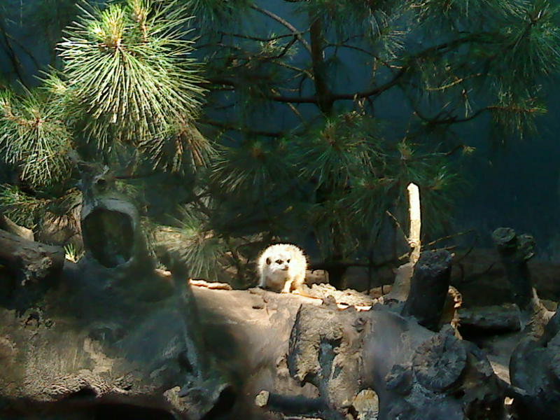 [image-upload-141-792733.jpg]