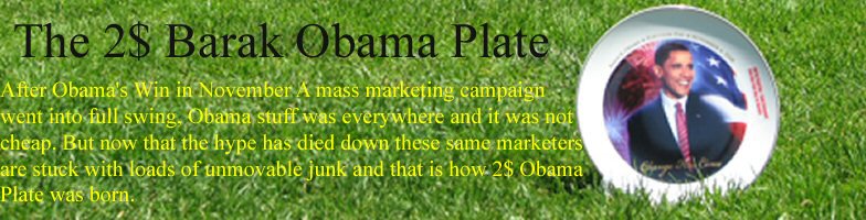 The 2$ Barack Obama Plate