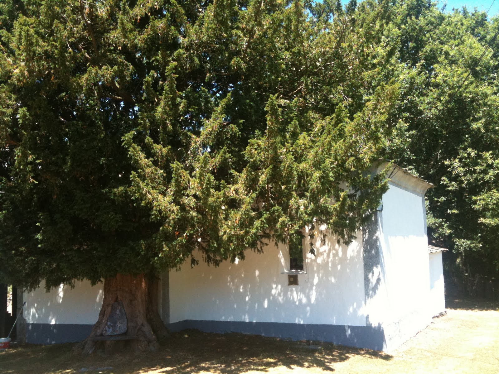 Martul Villanueva de Oscos Capilla Tejo de Martul