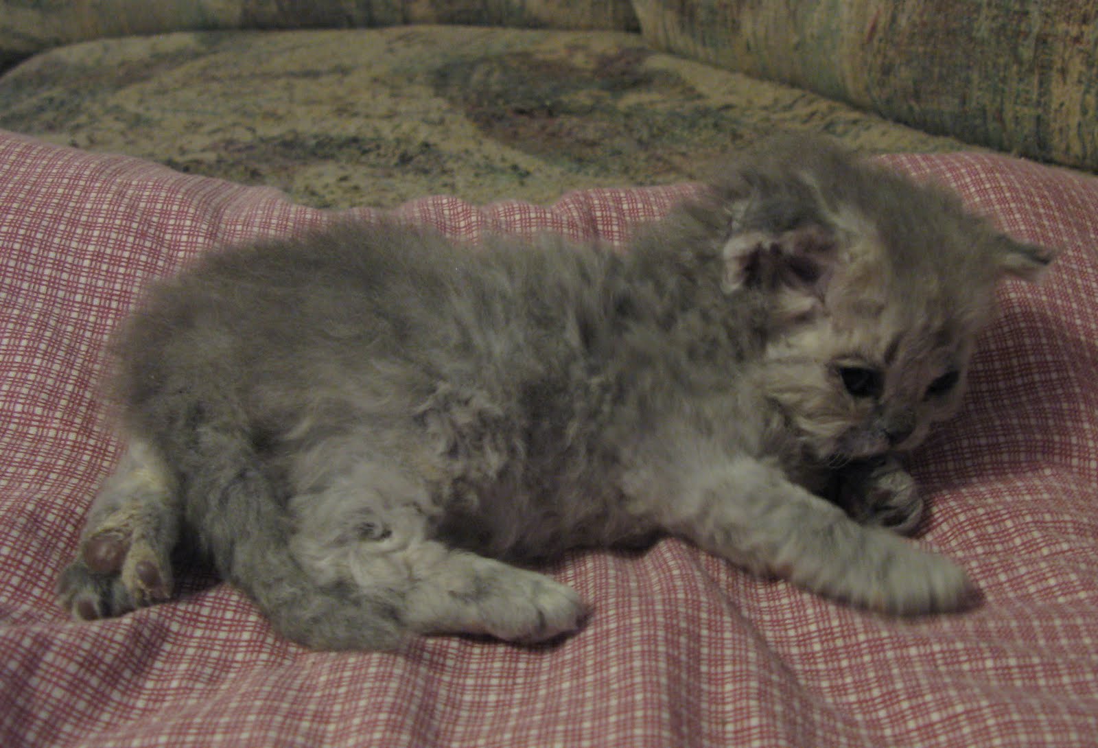 [captjamestkirk022110a.jpg]