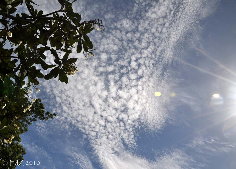 View thru My Global Lens [SkyWatch] Buttermilk in the Sky