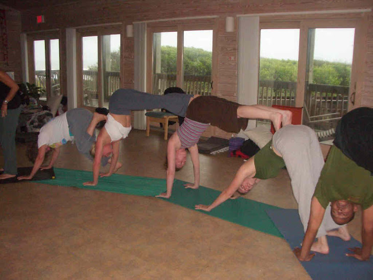 Professional Yoga Therapy Education