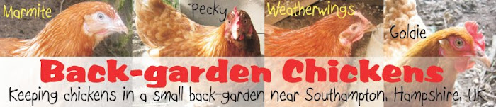 Back Garden Chickens