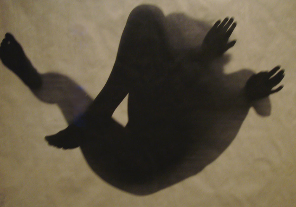 ShopCurious The curious art of cameraless photography