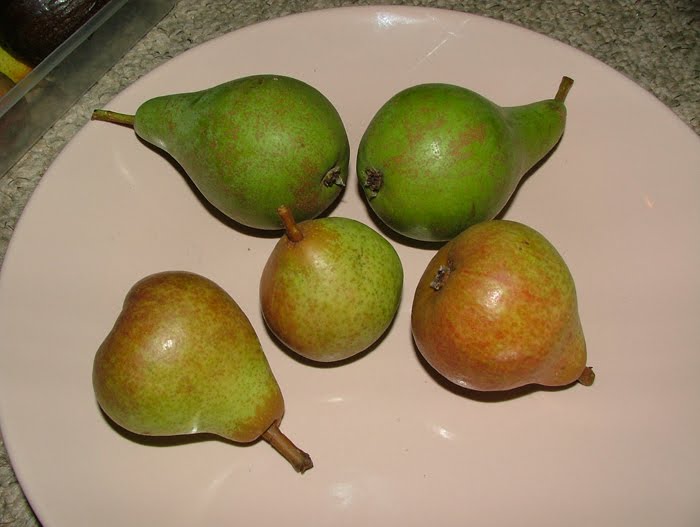 [Pears.jpg]