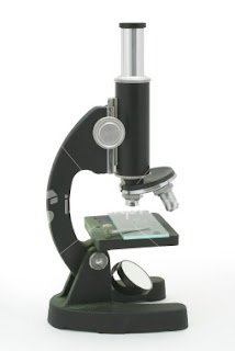 The Mad Scientists: Microscope Scavenger Hunt