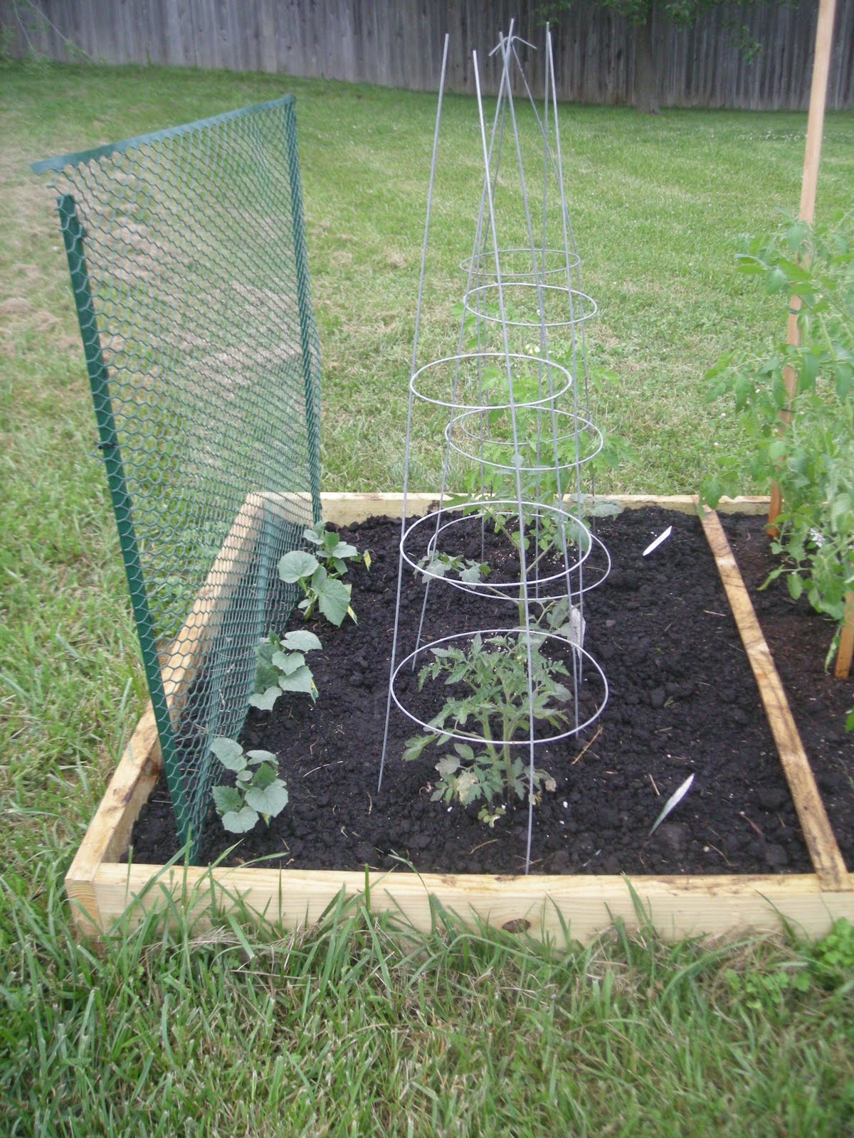 Cutting Coupons in KC Frugal Friday Square Foot Gardening