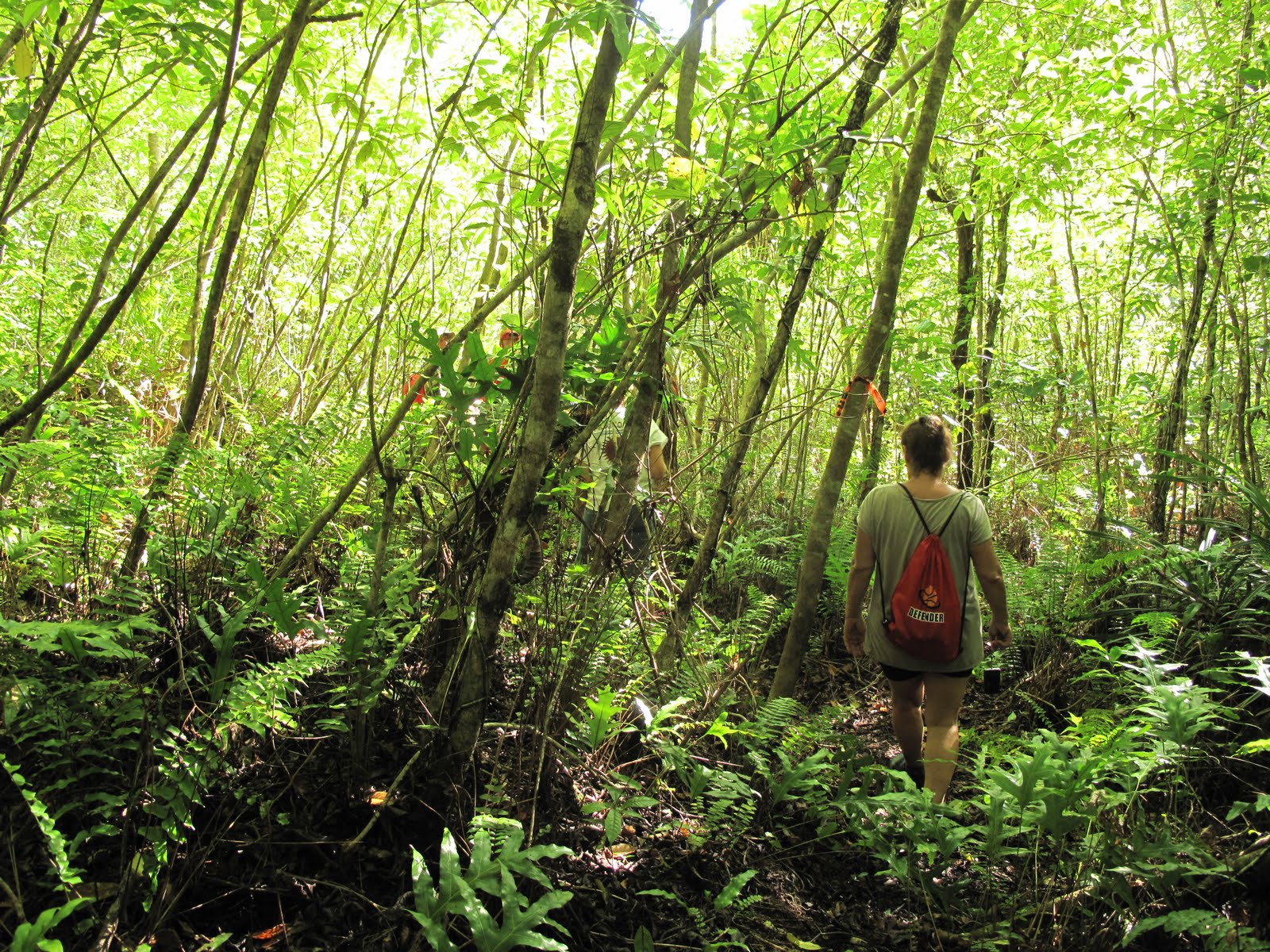 Creola In My Soula: Peleliu: Island of History, Mystery and Beauty: Are