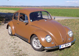 Matthias´ bug