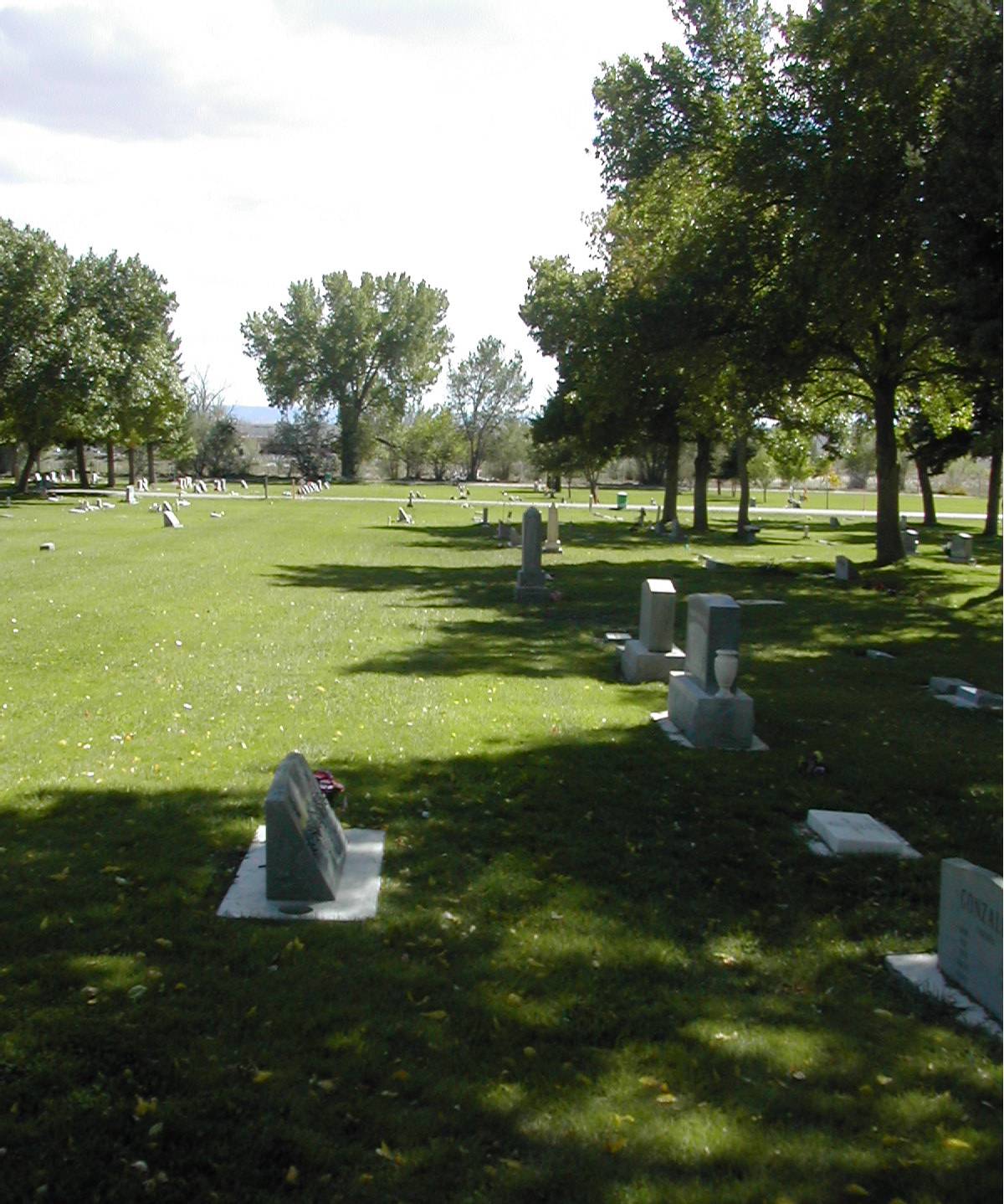 FORSGREN John Erik & Descendants SIXTH WIFE Mary Ann Mount Snyder